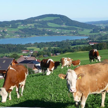Familienferienhof Stabauer Zell am Moos Dış mekan fotoğraf