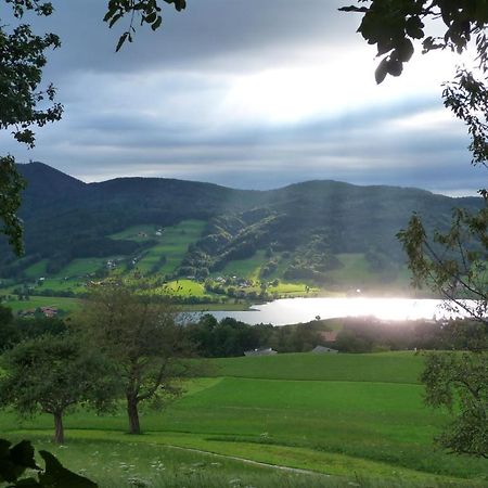 Familienferienhof Stabauer Zell am Moos Dış mekan fotoğraf