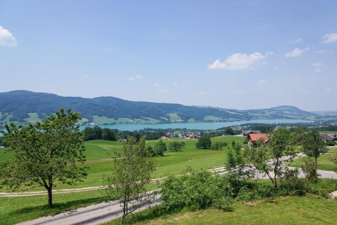 Familienferienhof Stabauer Zell am Moos Dış mekan fotoğraf