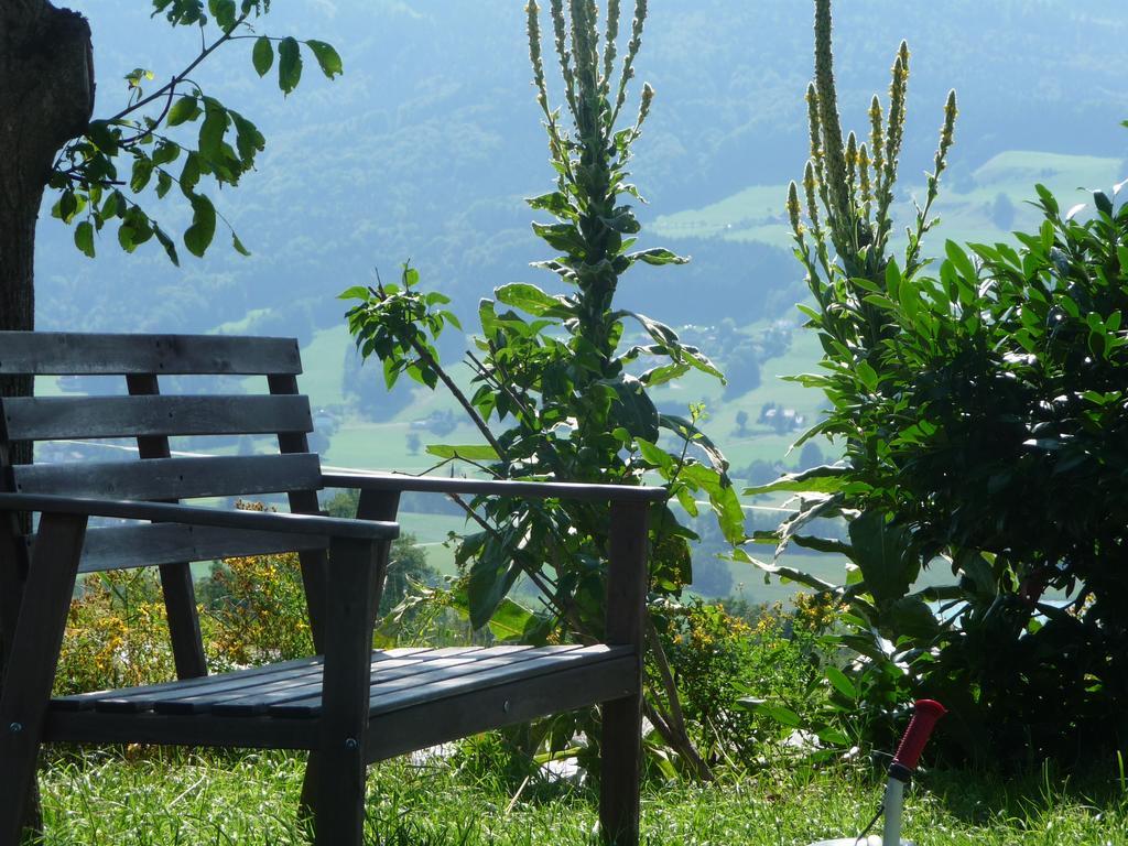 Familienferienhof Stabauer Zell am Moos Dış mekan fotoğraf