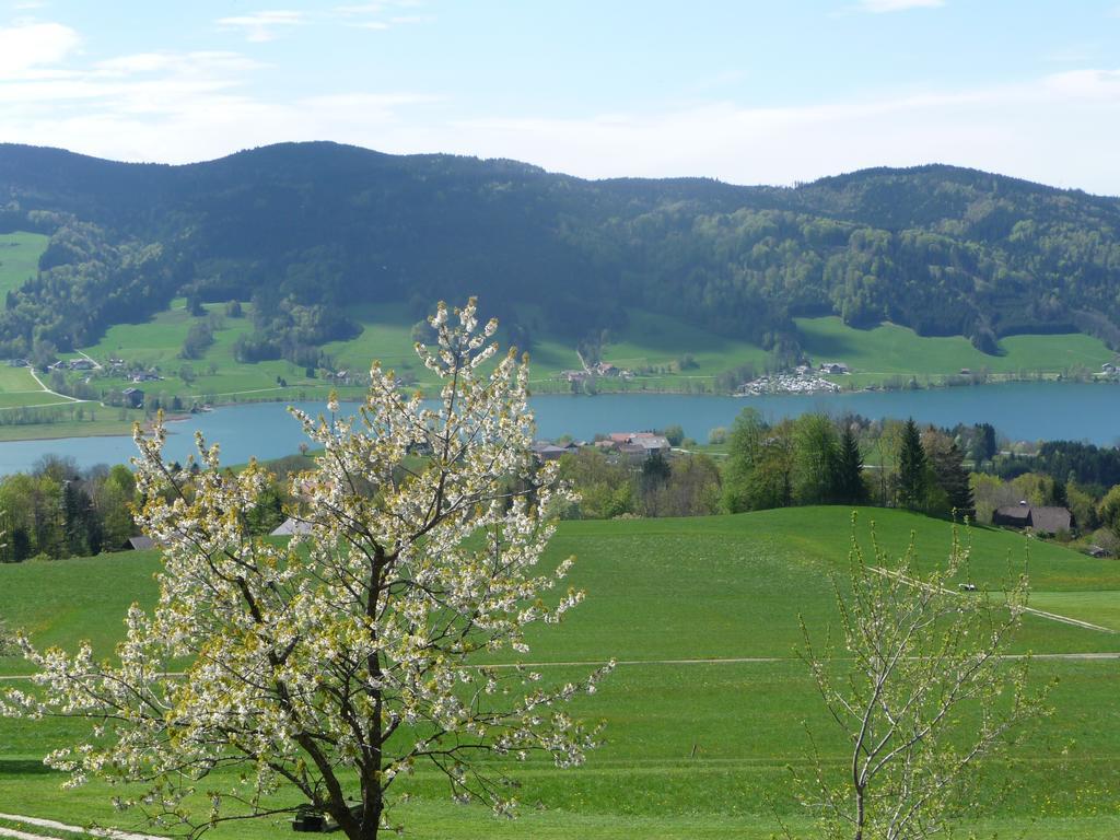 Familienferienhof Stabauer Zell am Moos Dış mekan fotoğraf