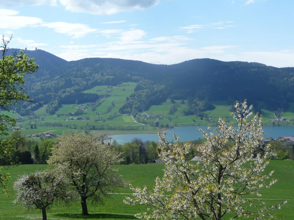 Familienferienhof Stabauer Zell am Moos Dış mekan fotoğraf