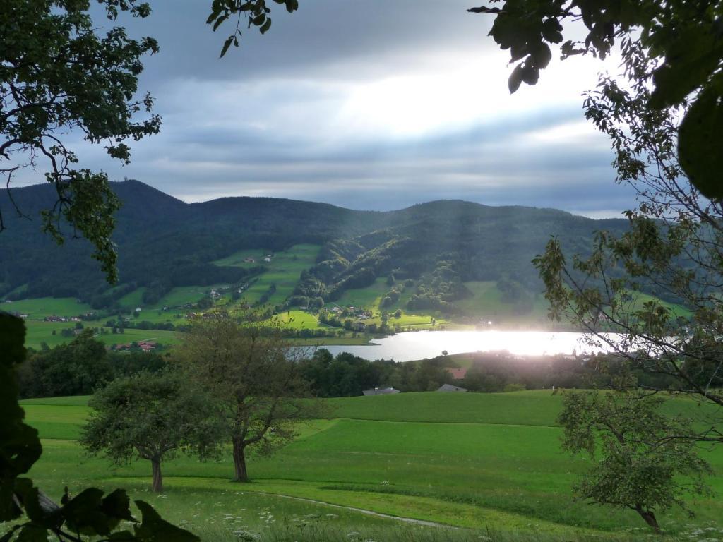 Familienferienhof Stabauer Zell am Moos Dış mekan fotoğraf