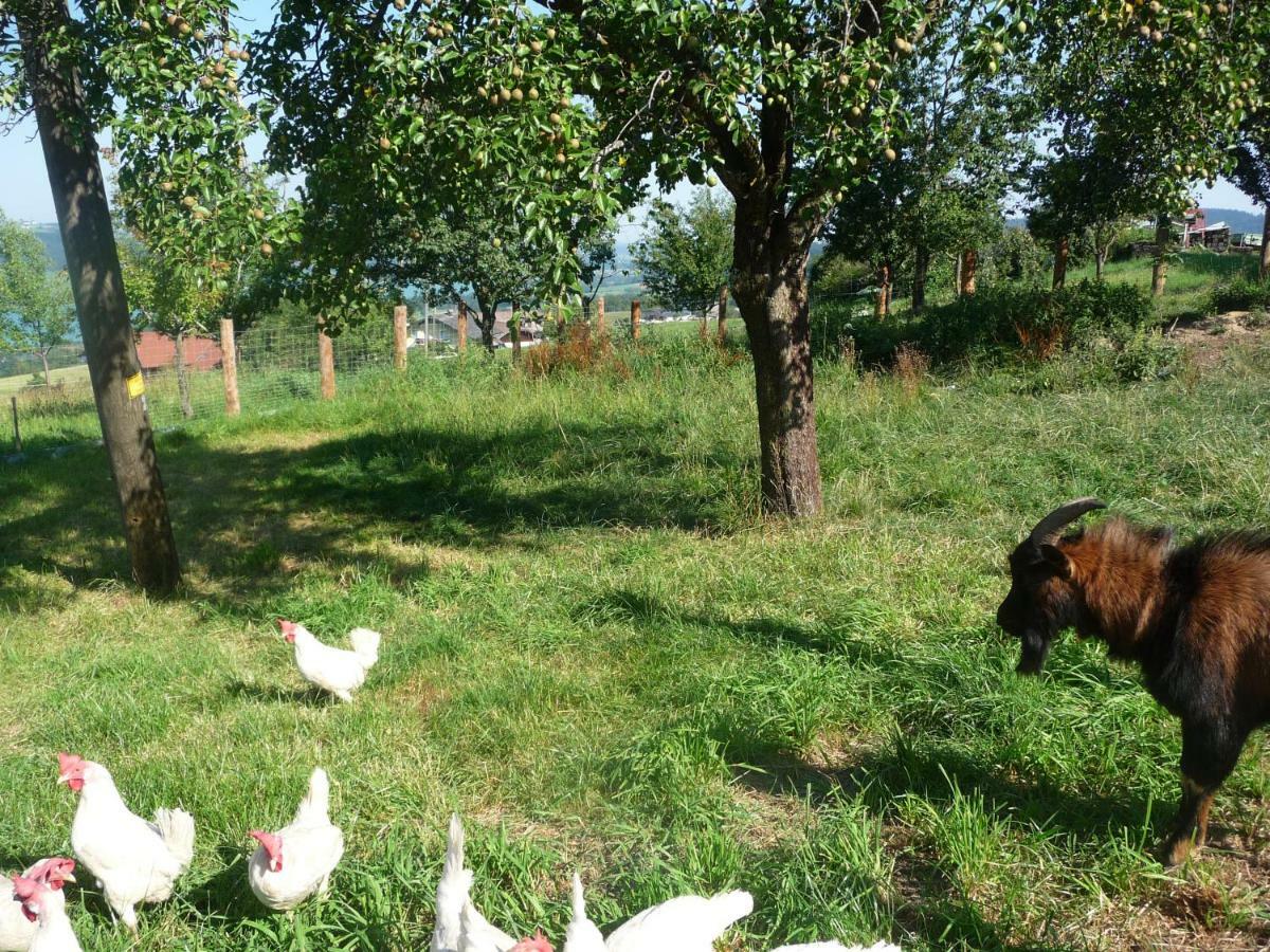 Familienferienhof Stabauer Zell am Moos Dış mekan fotoğraf